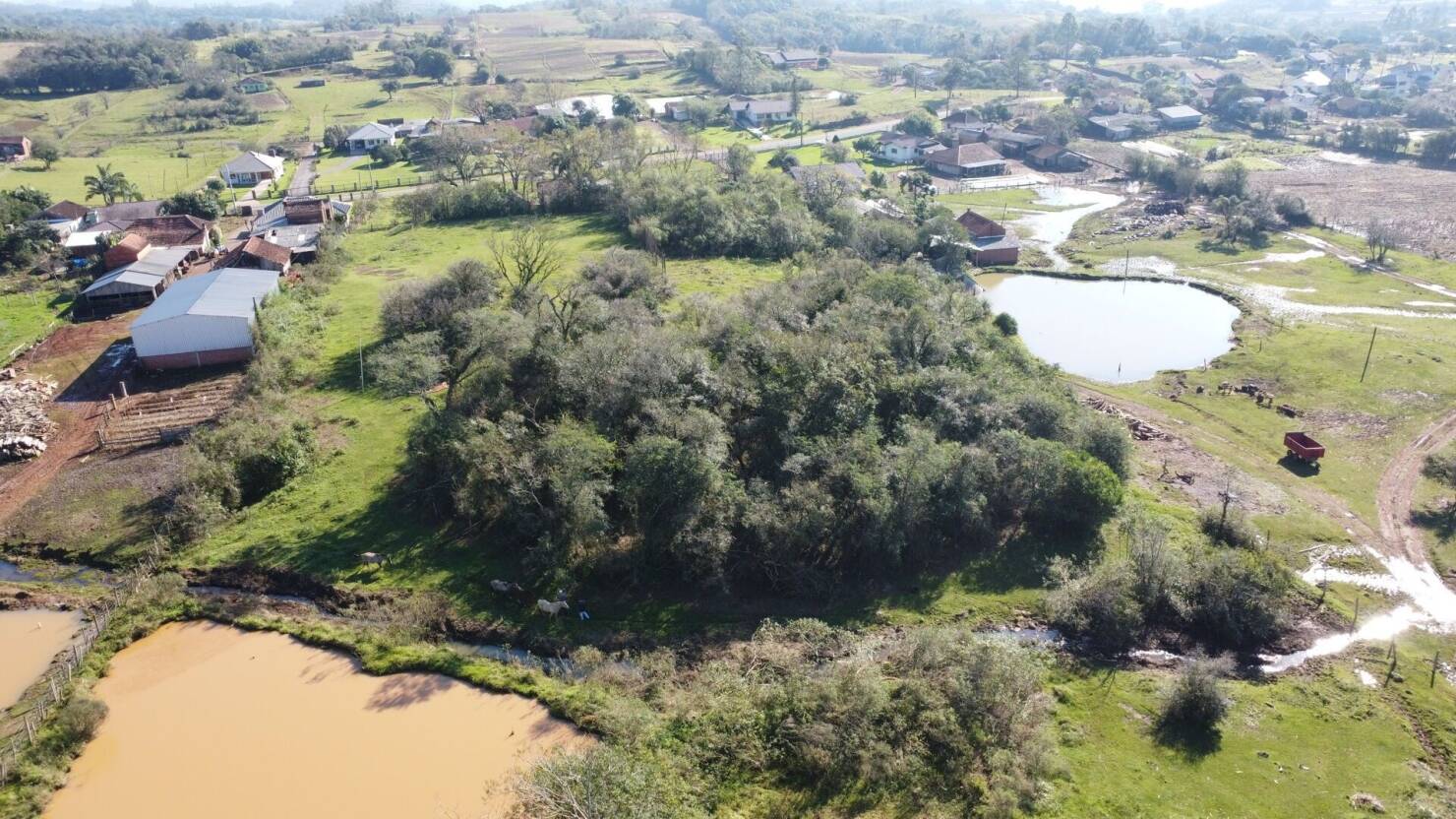 Chácara à venda com 2 quartos, 20000m² - Foto 4