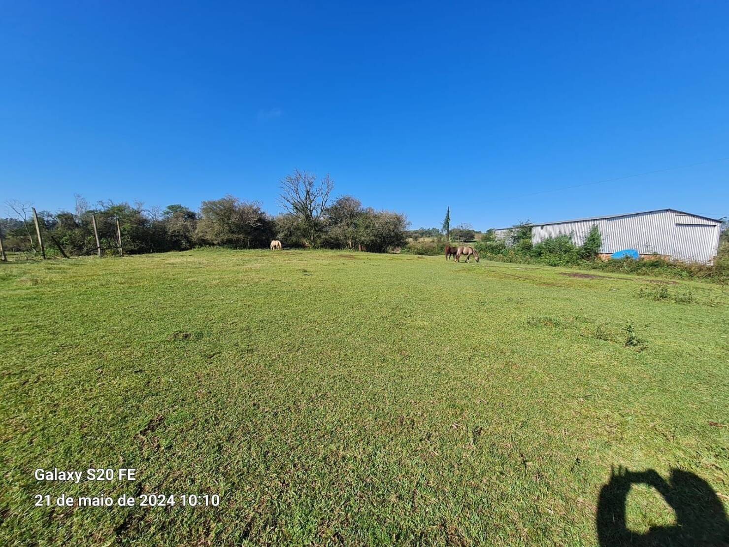 Chácara à venda com 2 quartos, 20000m² - Foto 7