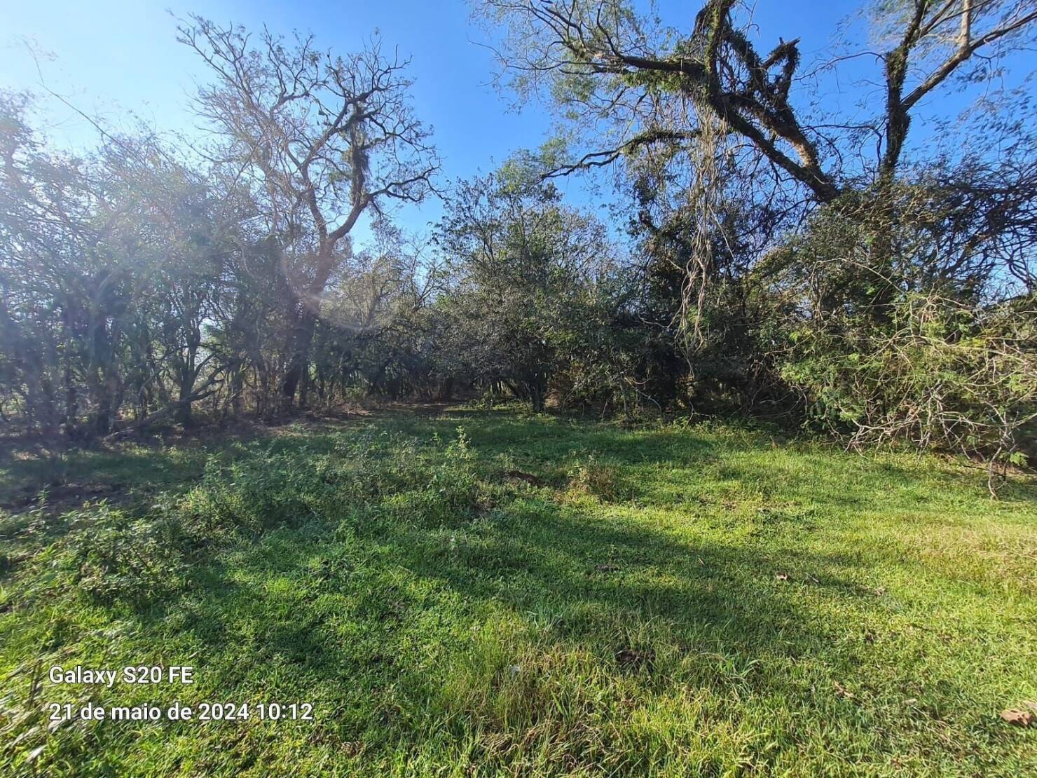 Chácara à venda com 2 quartos, 20000m² - Foto 12