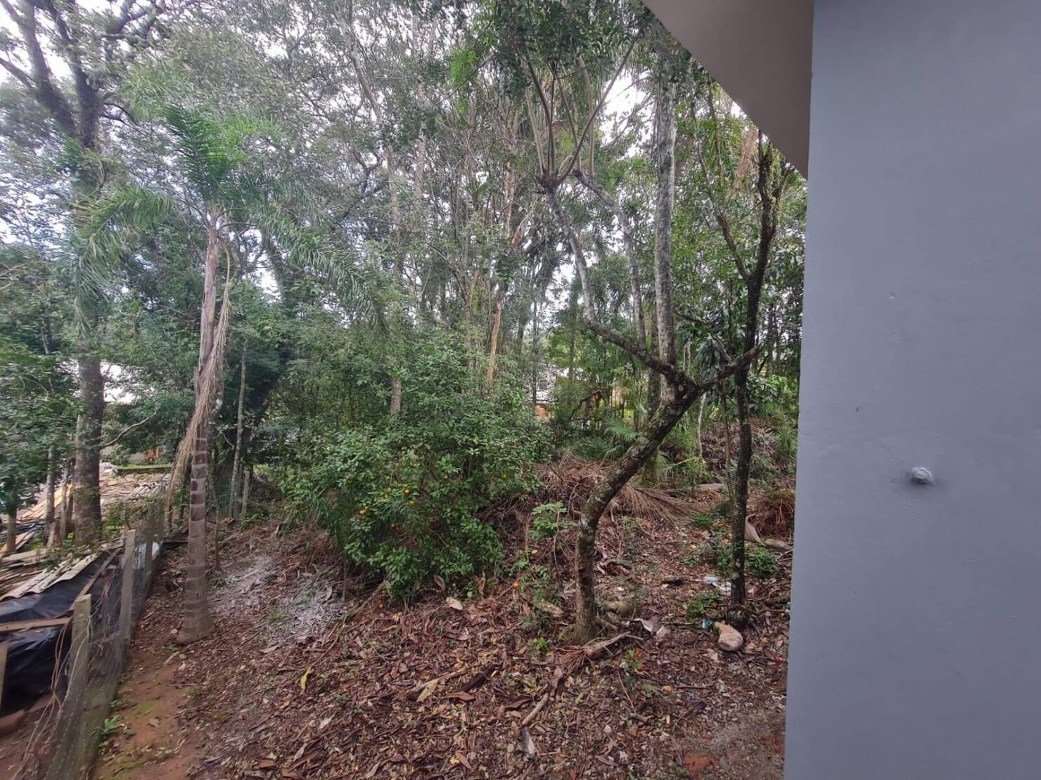 Casa, 3 quartos, 124 m² - Foto 24