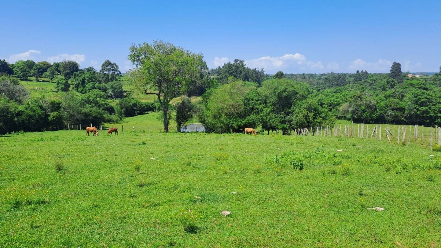 Sítio, 3 quartos, 415 m² - Foto 4