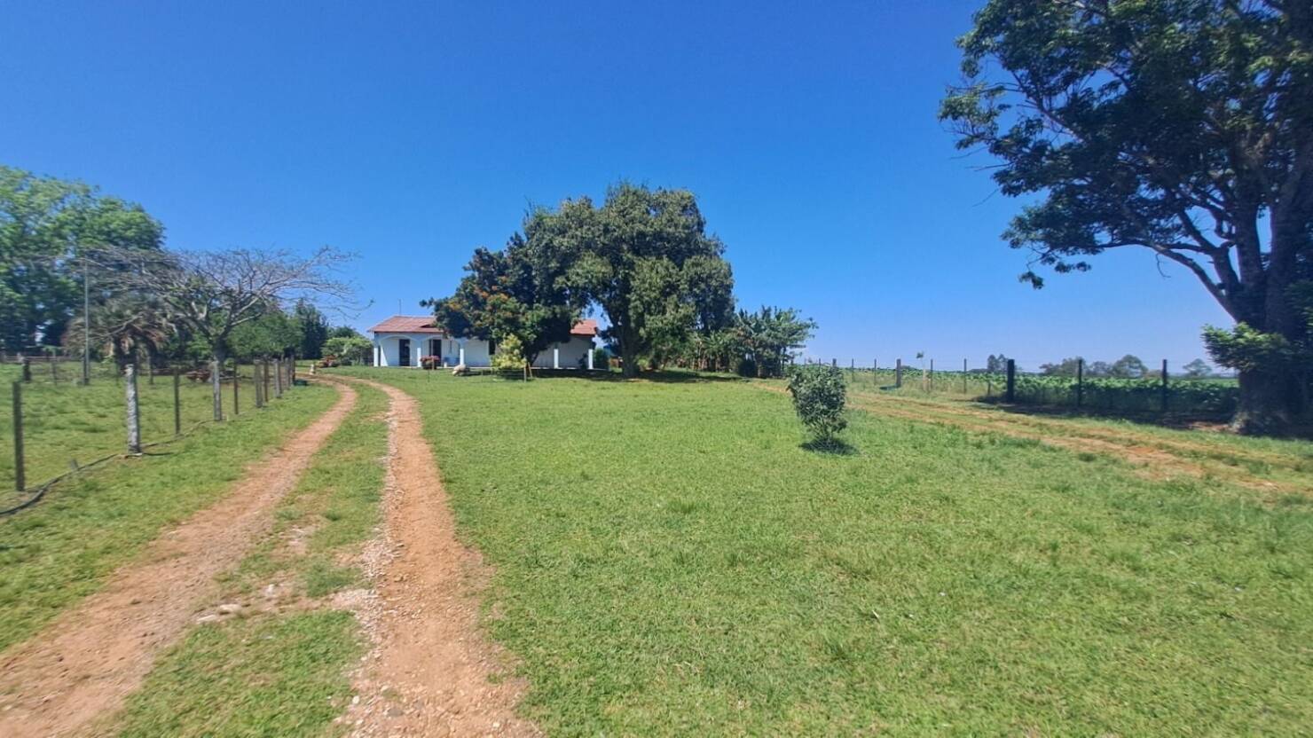 Sítio, 3 quartos, 415 m² - Foto 8