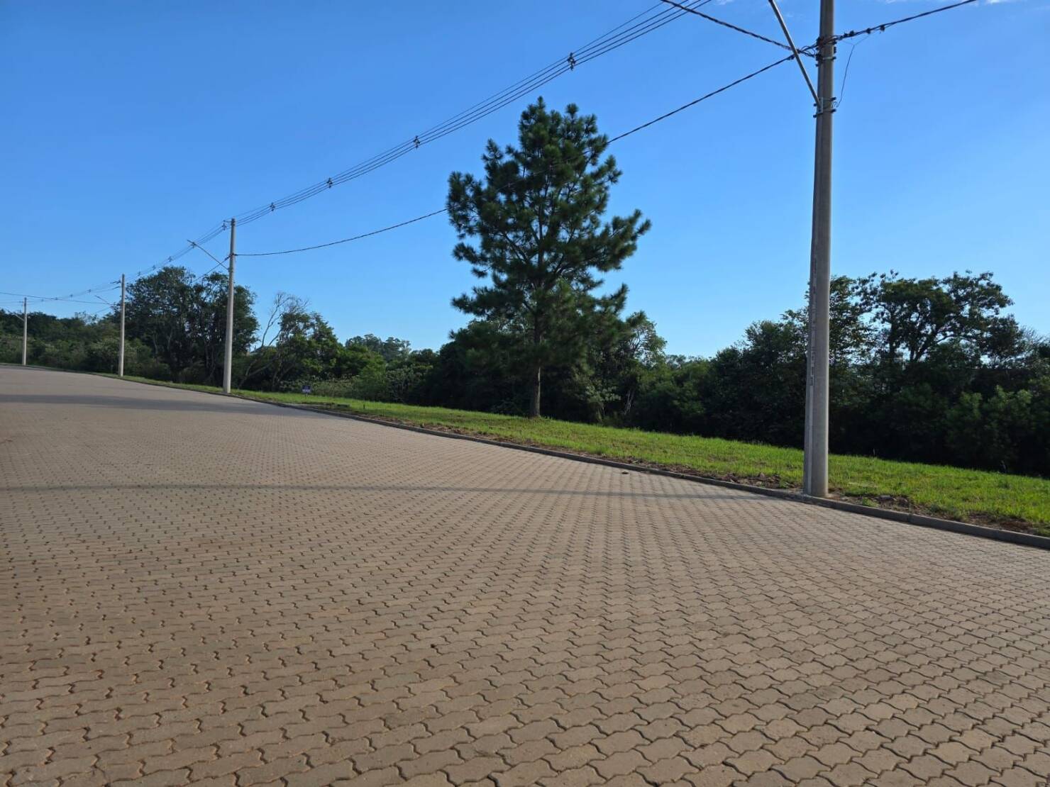 Terreno, 329 m² - Foto 8