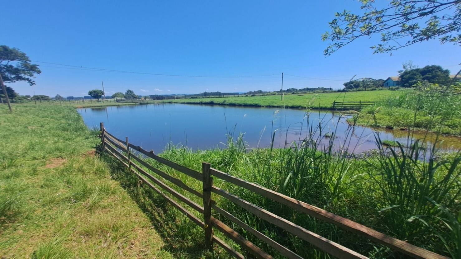 Sítio, 3 quartos, 415 m² - Foto 11