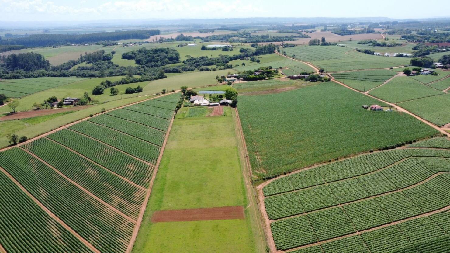 Sítio, 3 quartos, 415 m² - Foto 12