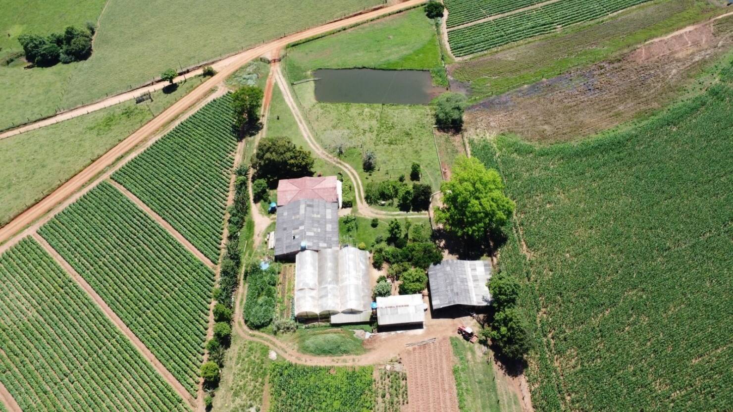 Sítio, 3 quartos, 415 m² - Foto 13