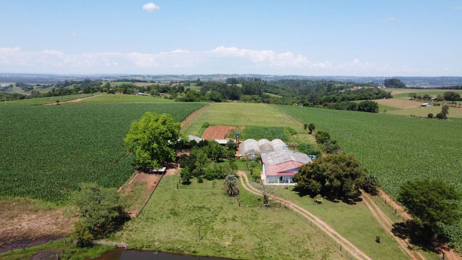 Sítio, 3 quartos, 415 m² - Foto 17