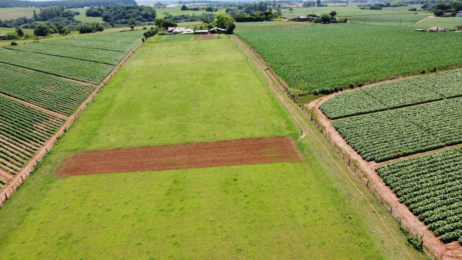 Sítio, 3 quartos, 415 m² - Foto 18