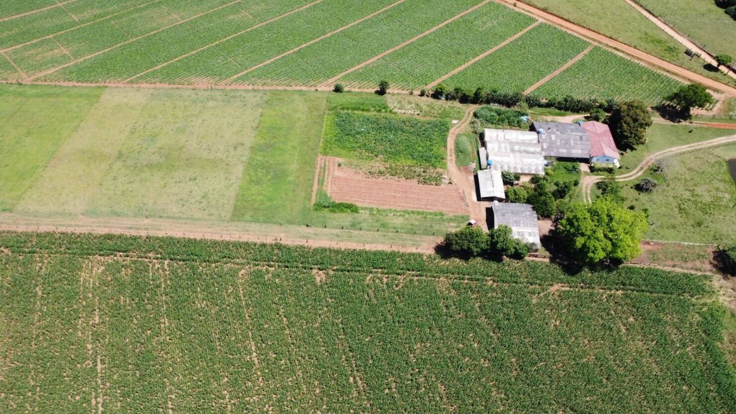 Sítio, 3 quartos, 415 m² - Foto 21