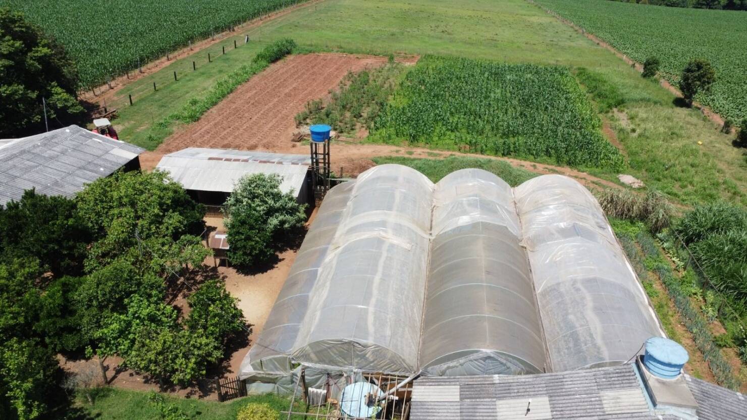 Sítio, 3 quartos, 415 m² - Foto 22