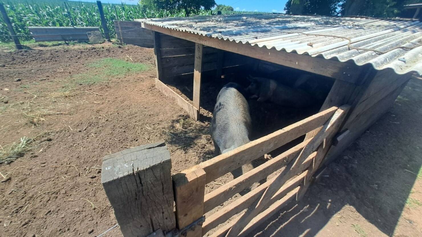 Sítio, 3 quartos, 415 m² - Foto 25