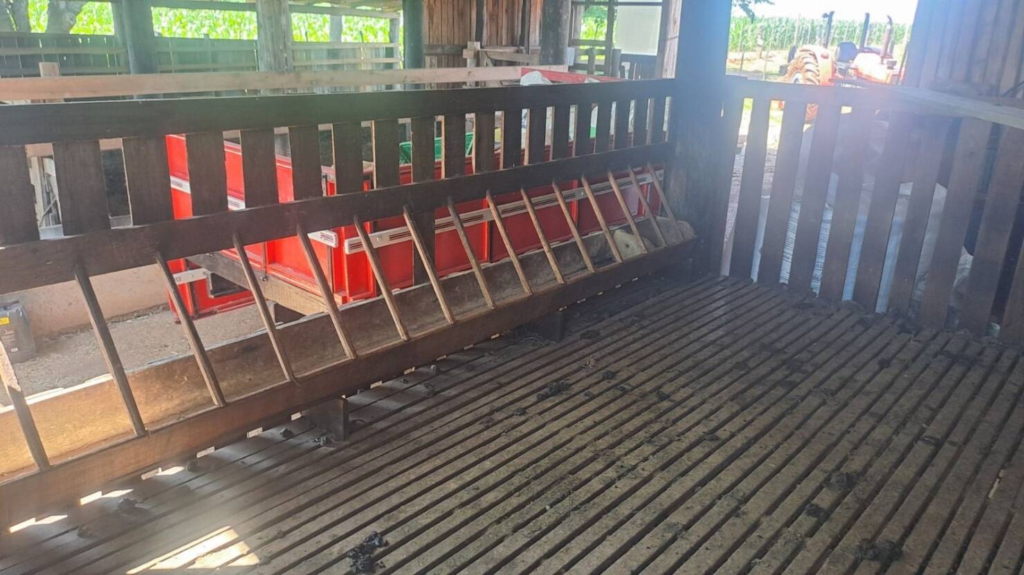 Sítio, 3 quartos, 415 m² - Foto 29