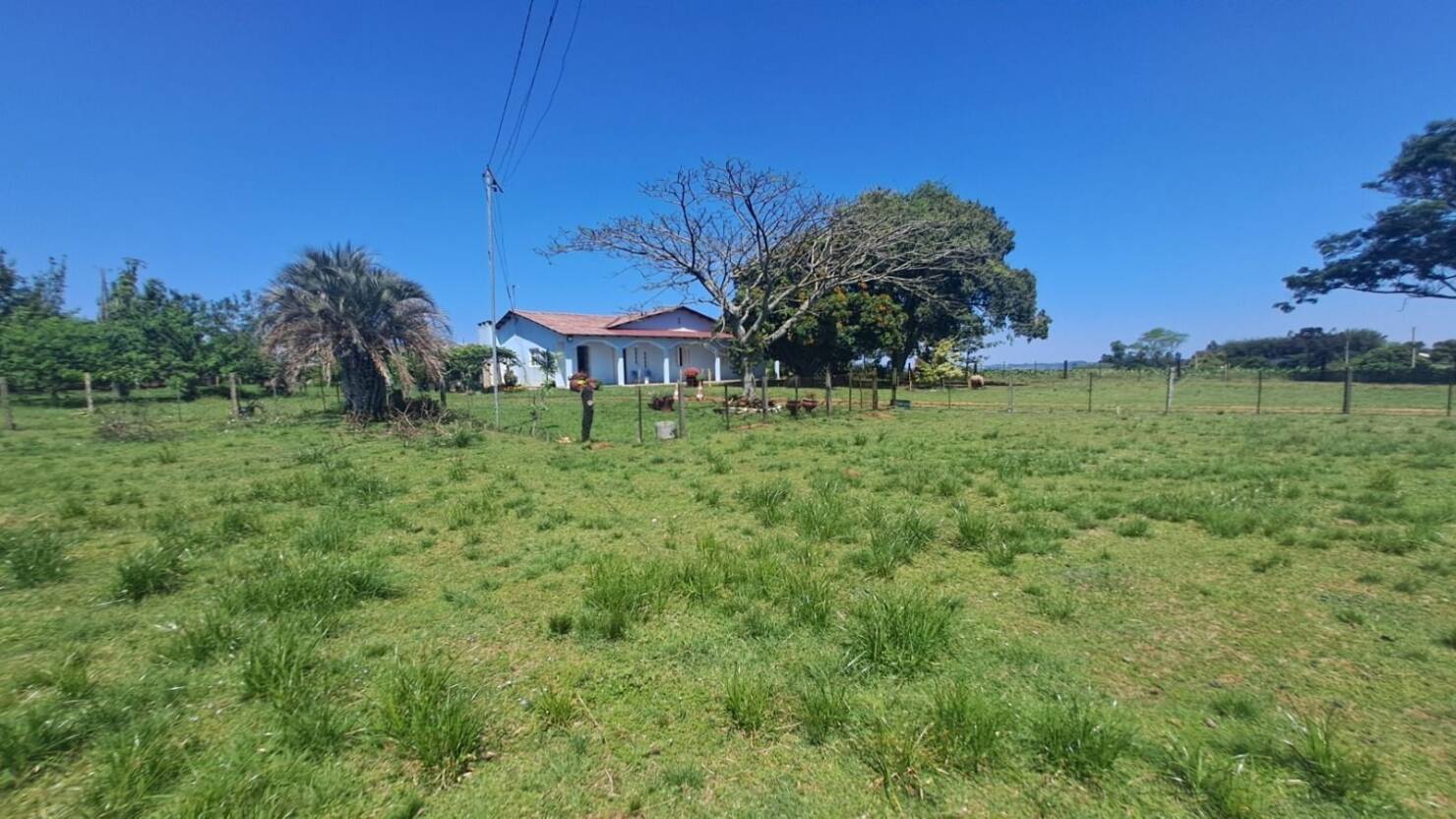 Sítio, 3 quartos, 415 m² - Foto 31