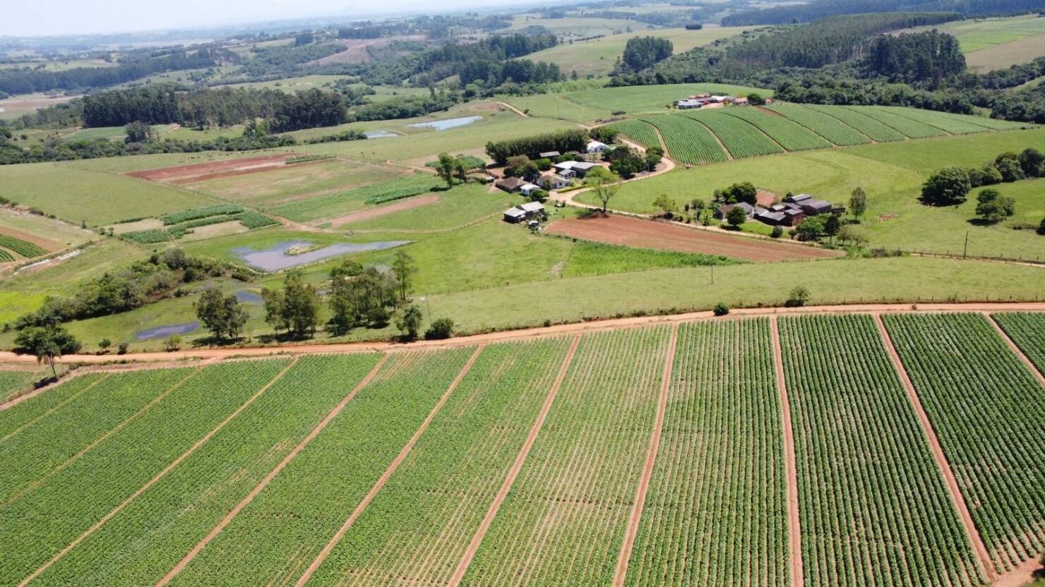 Sítio, 3 quartos, 415 m² - Foto 35