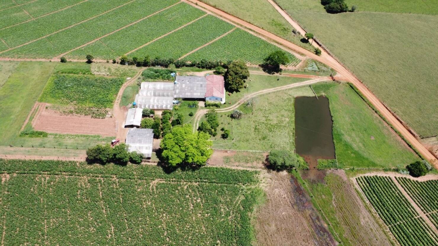 Sítio, 3 quartos, 415 m² - Foto 36