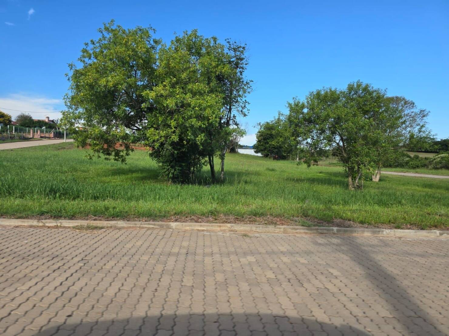 Terreno, 300 m² - Foto 4