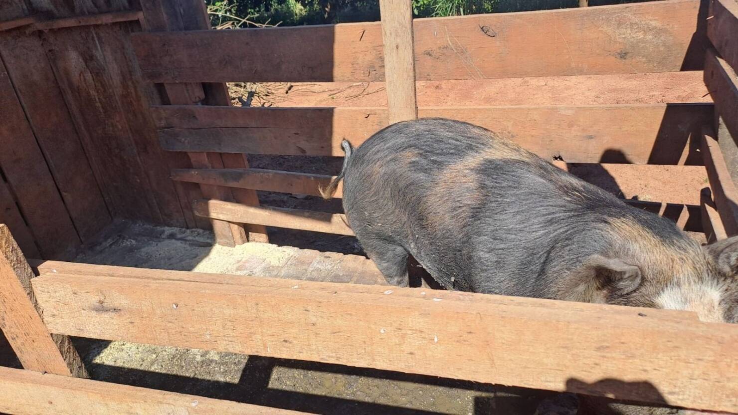 Chácara, 3 quartos, 2190 m² - Foto 18