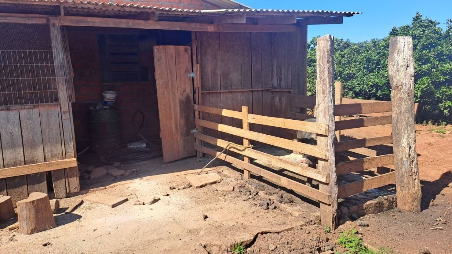 Chácara, 3 quartos, 2190 m² - Foto 19