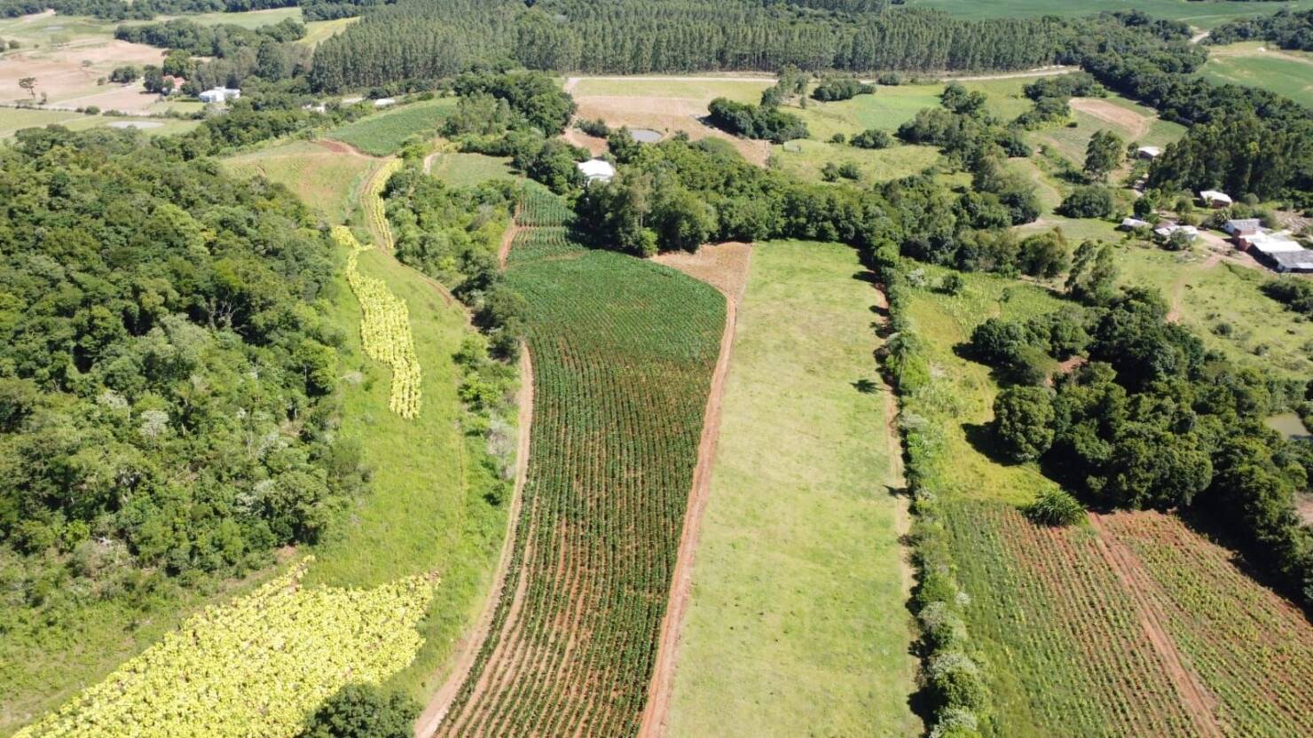 Chácara, 3 quartos, 5 hectares - Foto 2