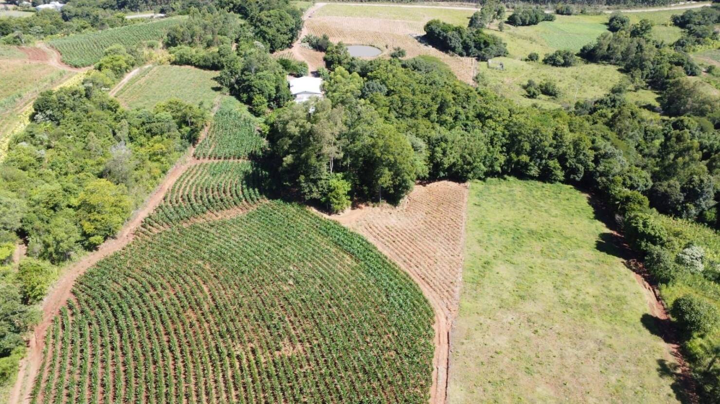 Chácara, 3 quartos, 5 hectares - Foto 3