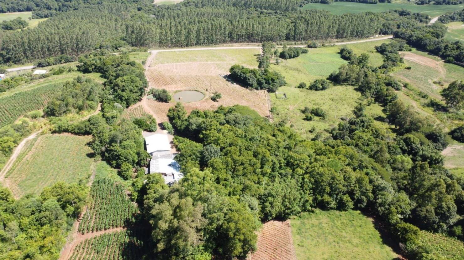 Chácara, 3 quartos, 5 hectares - Foto 4