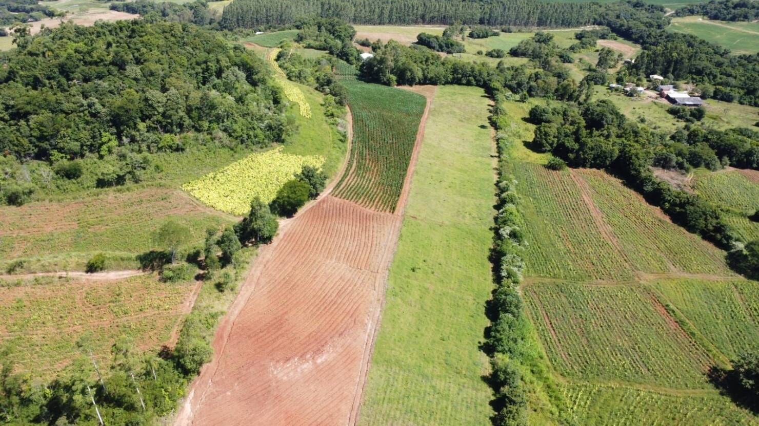 Chácara, 3 quartos, 5 hectares - Foto 5