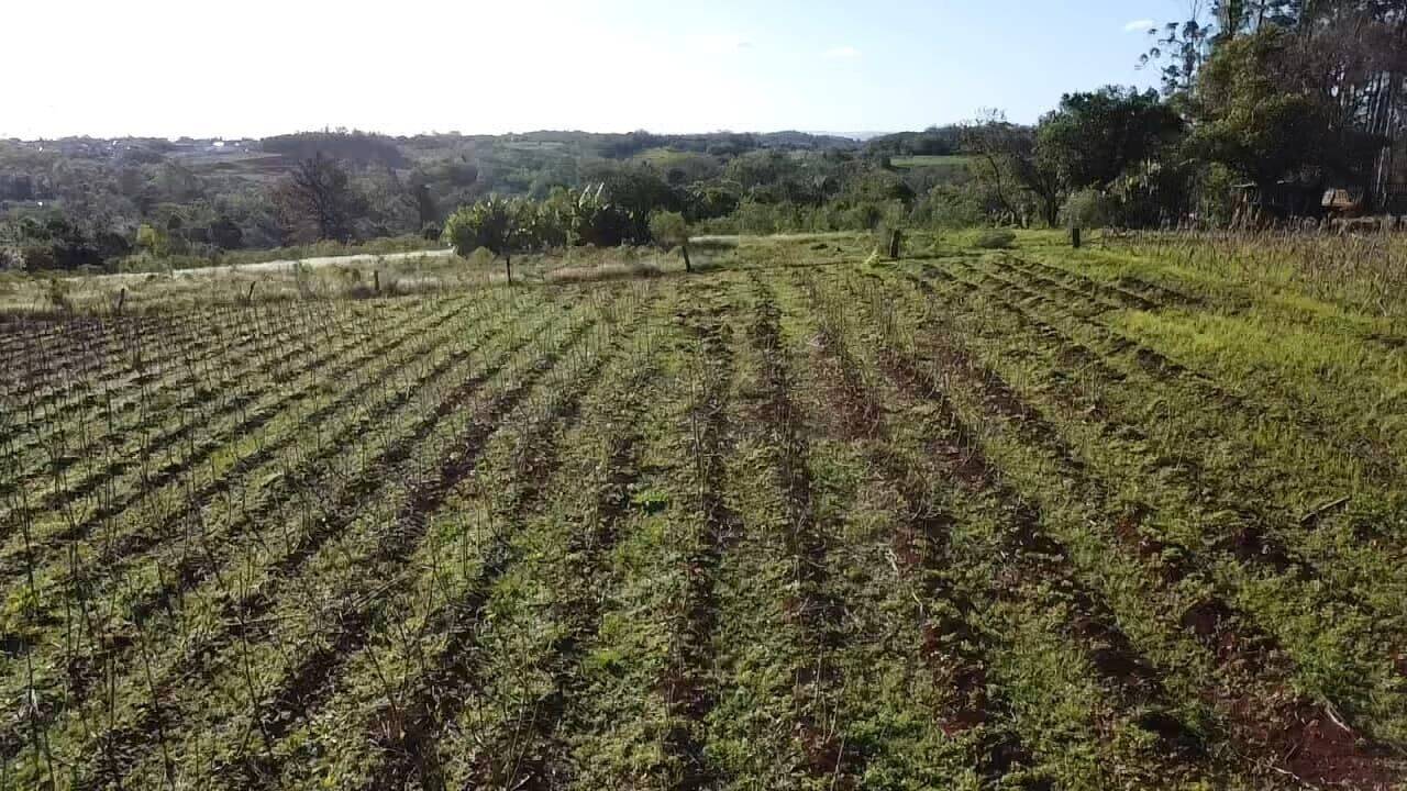 Terreno, 850 m² - Foto 1