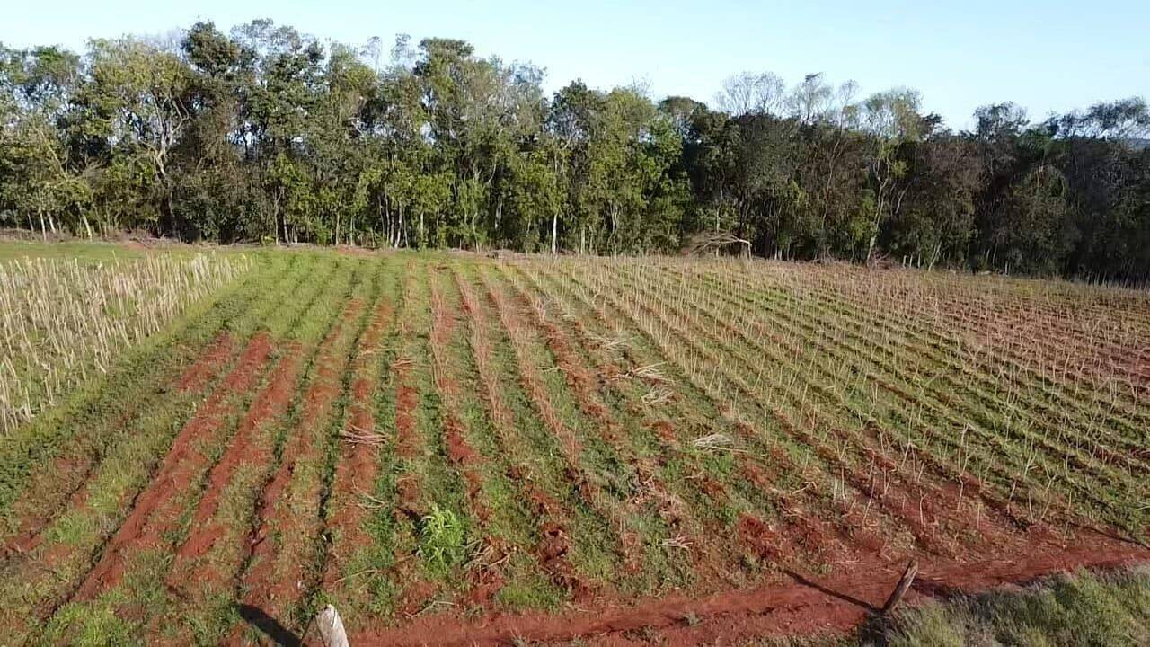 Terreno, 850 m² - Foto 2