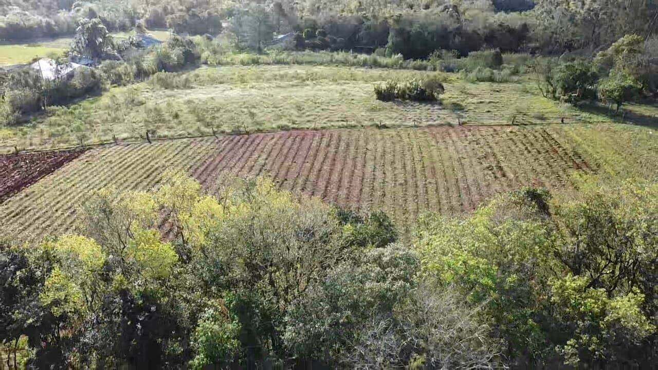 Terreno, 850 m² - Foto 3