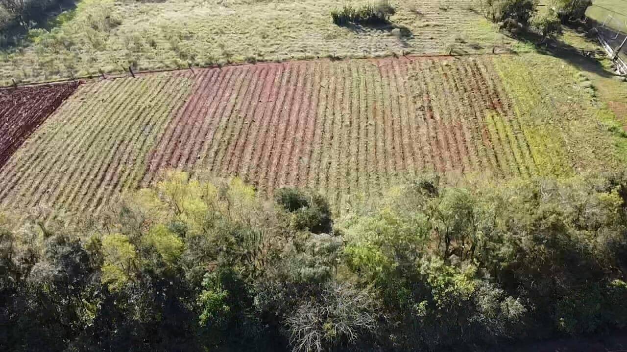 Terreno, 850 m² - Foto 4