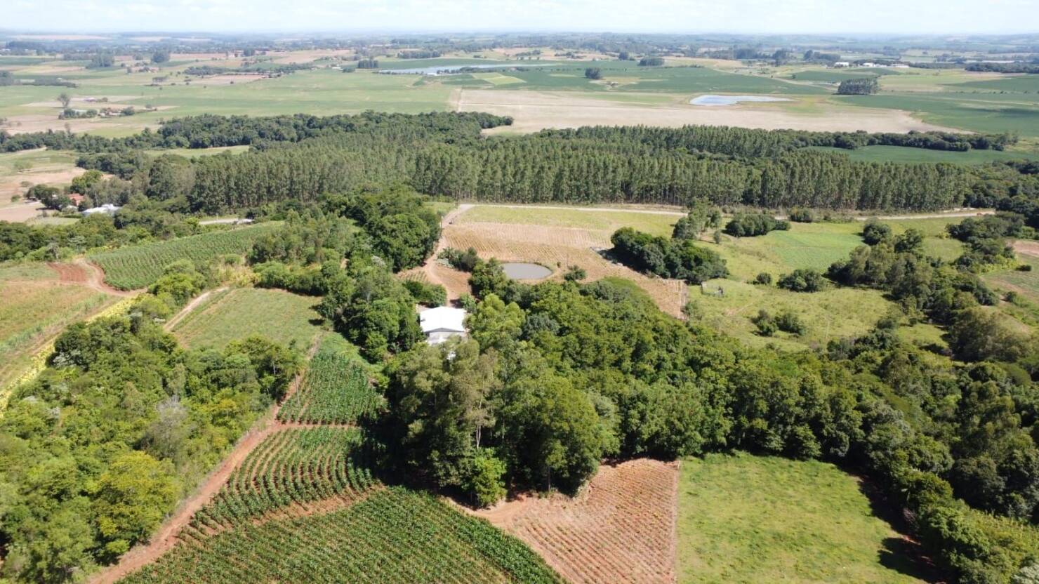 Chácara, 3 quartos, 5 hectares - Foto 7