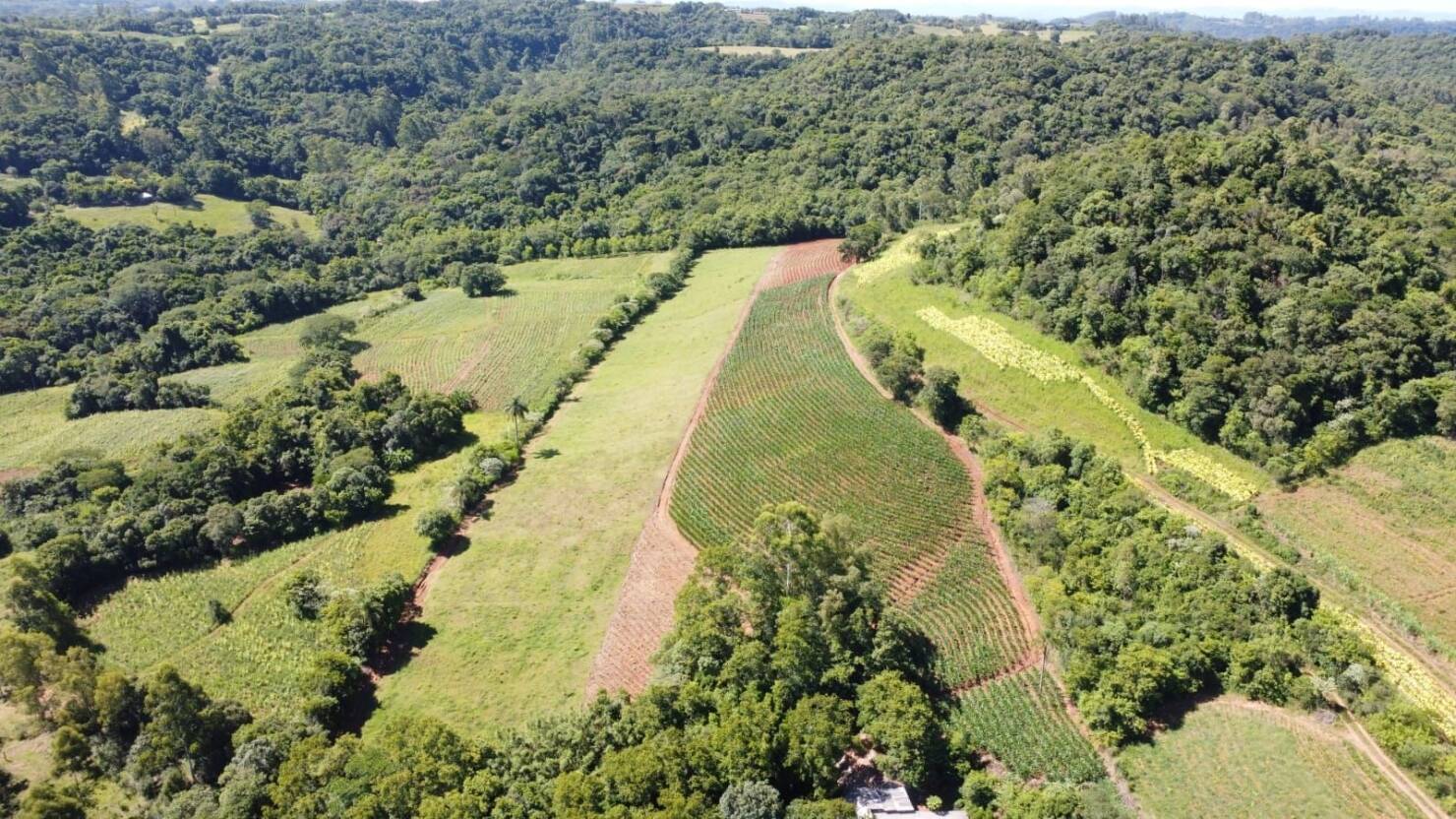 Chácara, 3 quartos, 5 hectares - Foto 8