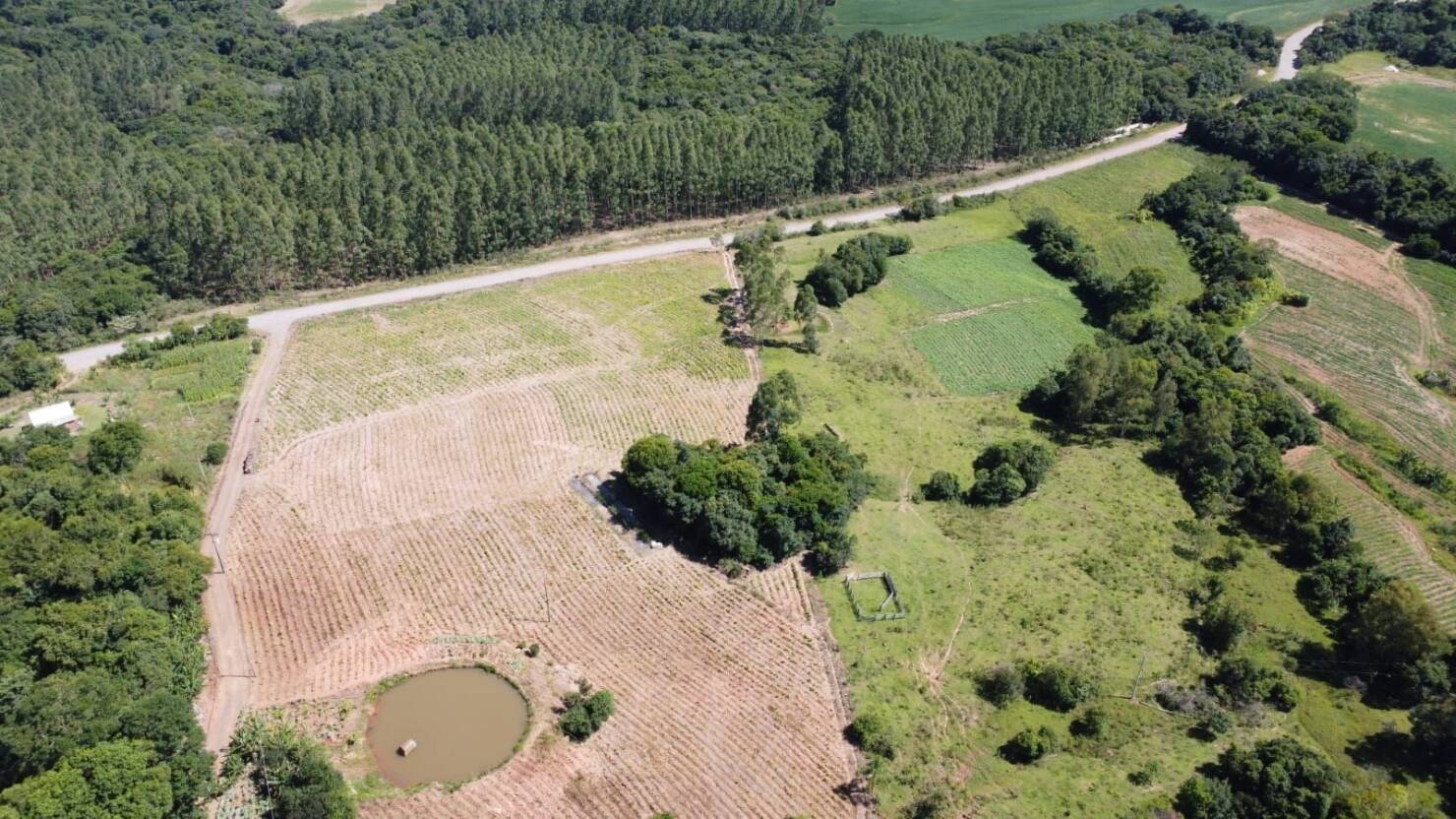 Chácara, 3 quartos, 5 hectares - Foto 9