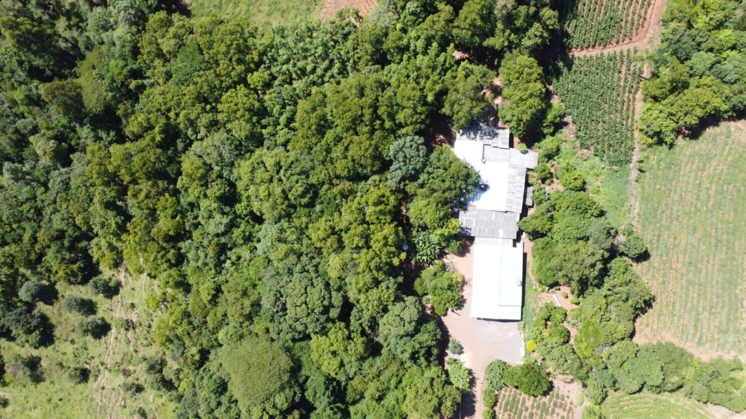 Chácara, 3 quartos, 5 hectares - Foto 10