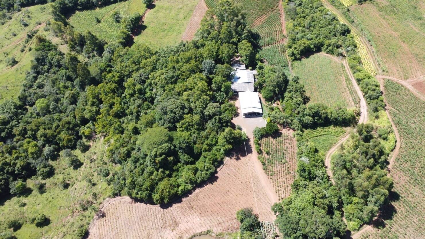 Chácara, 3 quartos, 5 hectares - Foto 11