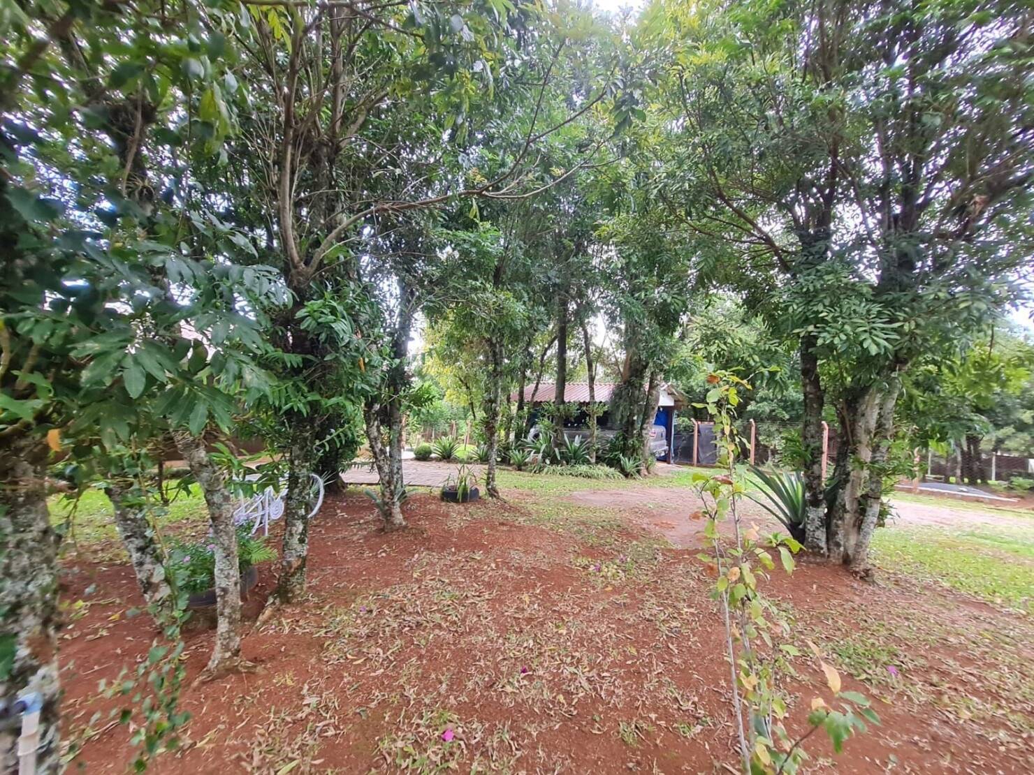 Chácara à venda com 3 quartos, 292m² - Foto 33