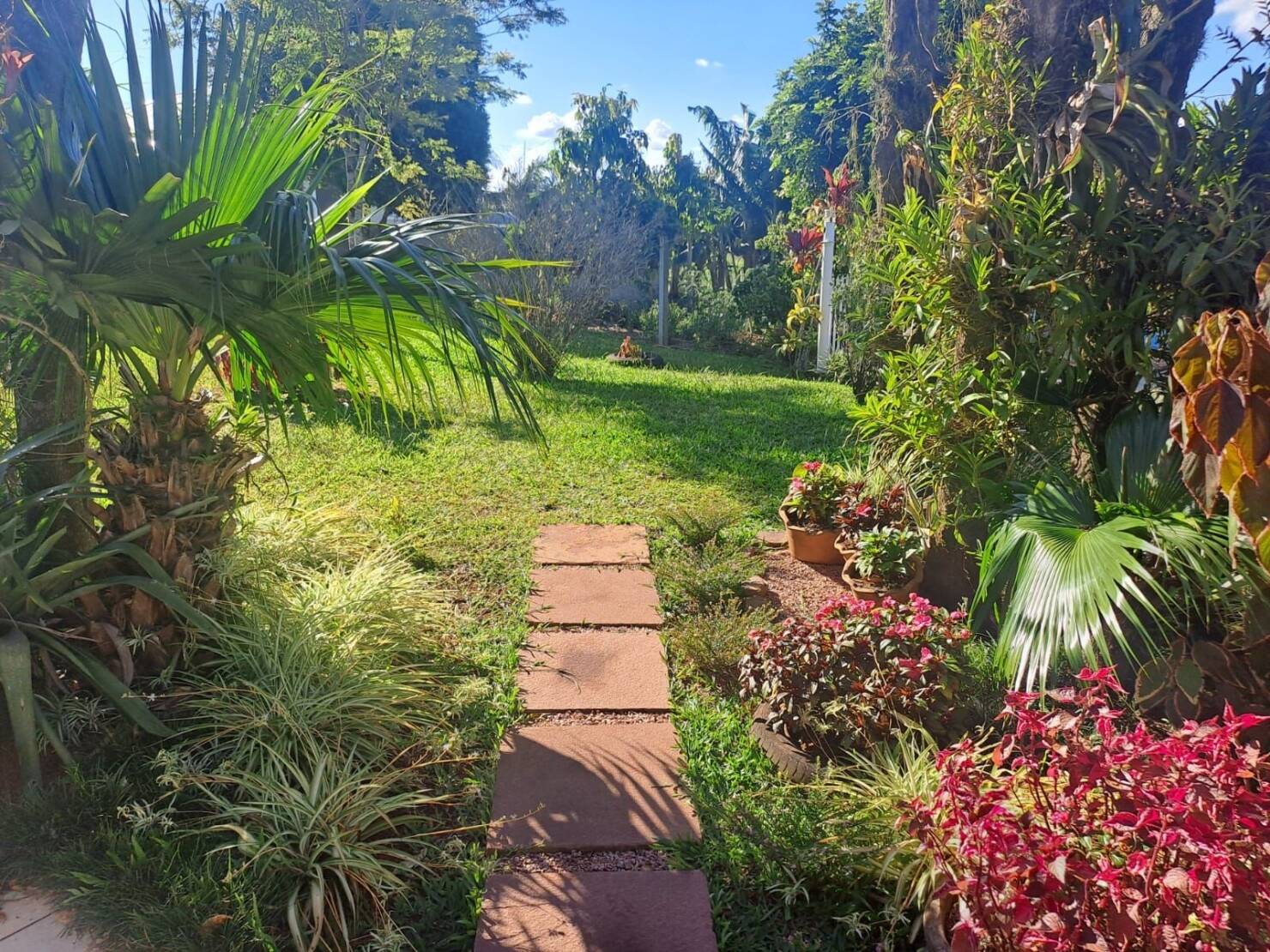 Chácara à venda com 3 quartos, 292m² - Foto 34
