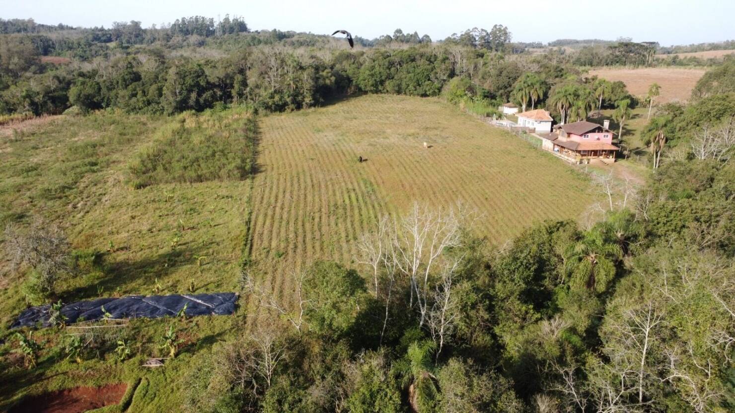 Terreno, 7 hectares - Foto 2