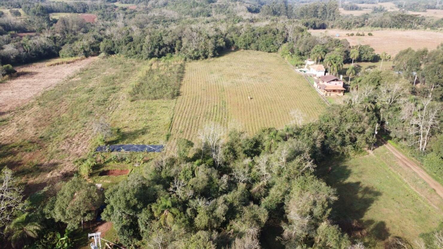 Terreno, 7 hectares - Foto 4