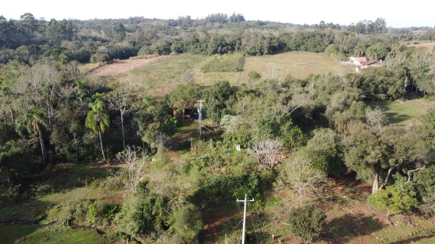 Terreno, 7 hectares - Foto 6