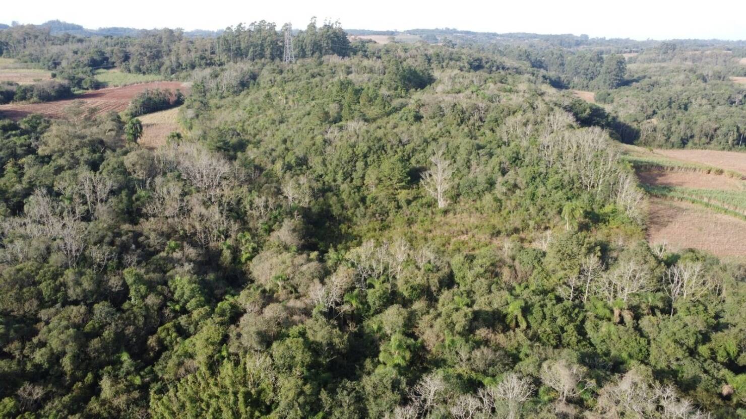 Terreno, 7 hectares - Foto 7