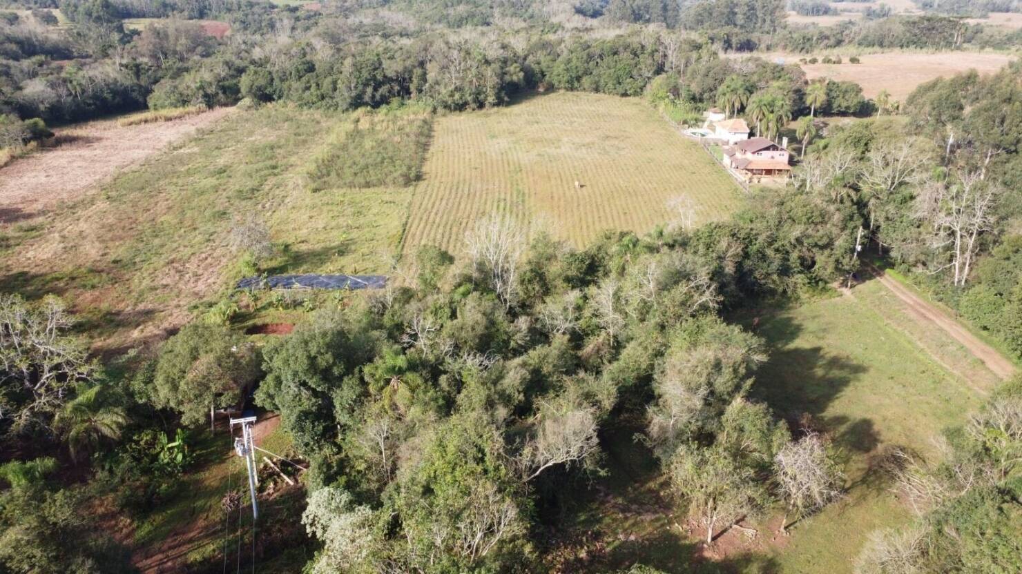 Terreno, 7 hectares - Foto 8