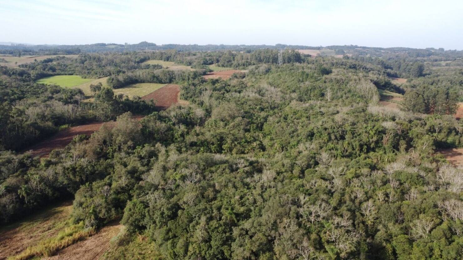 Terreno, 7 hectares - Foto 9