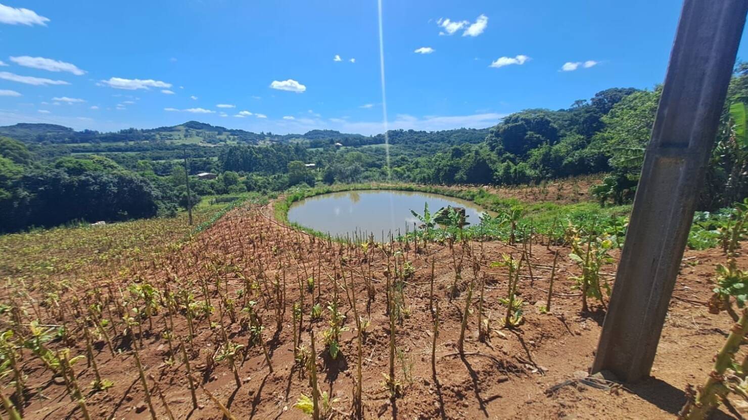 Chácara, 3 quartos, 5 hectares - Foto 38