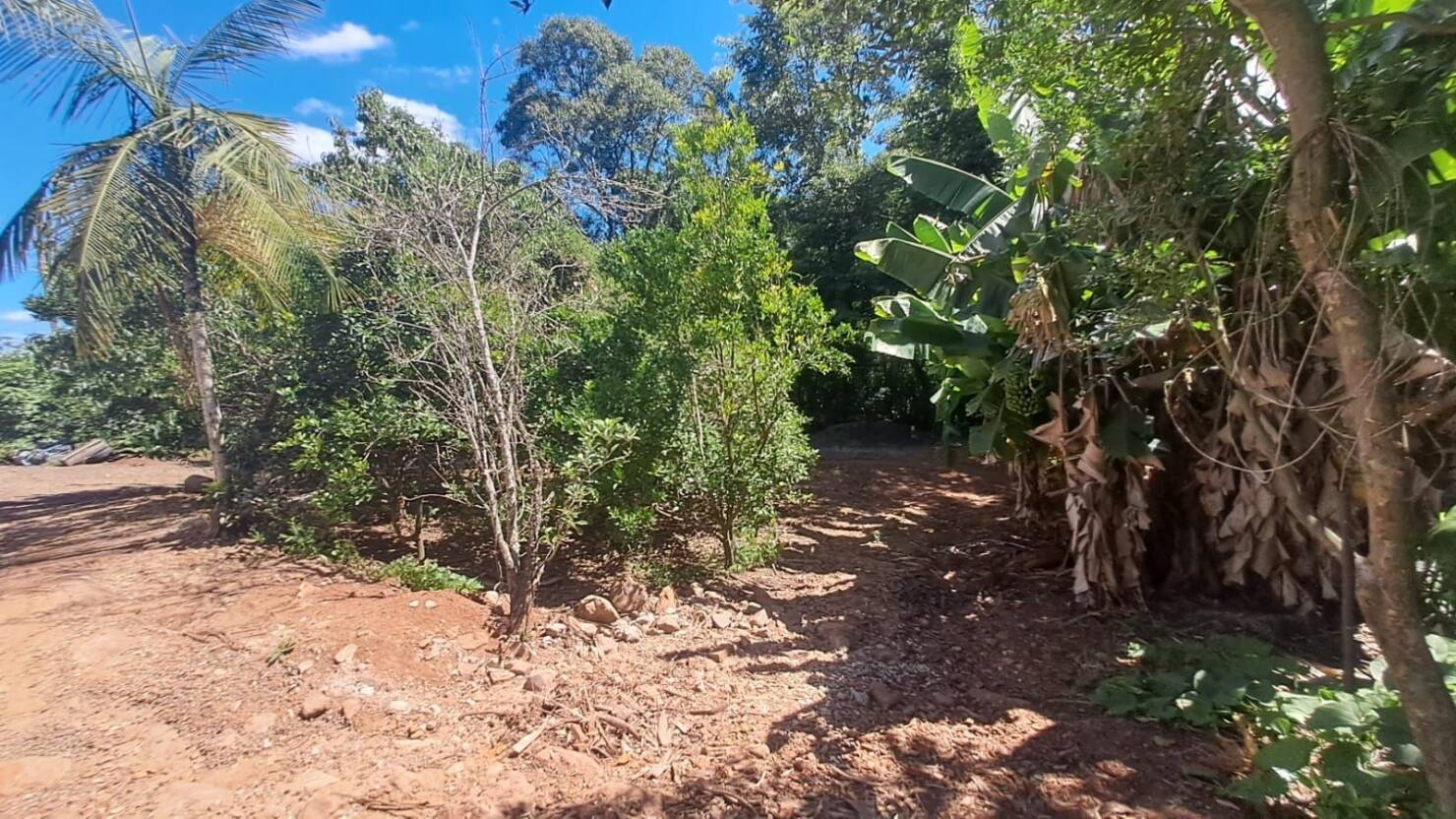 Chácara, 3 quartos, 5 hectares - Foto 40