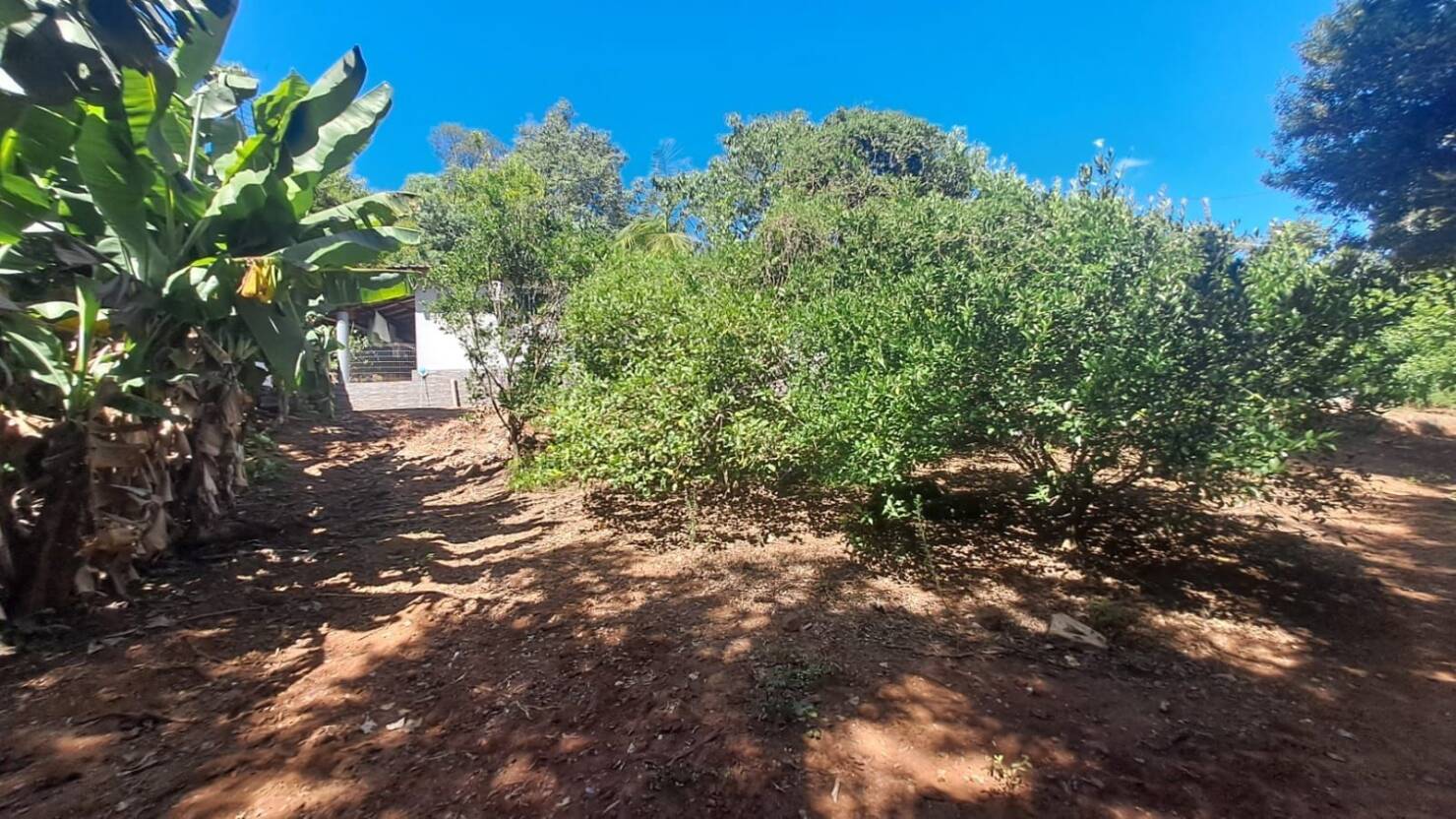 Chácara, 3 quartos, 5 hectares - Foto 41