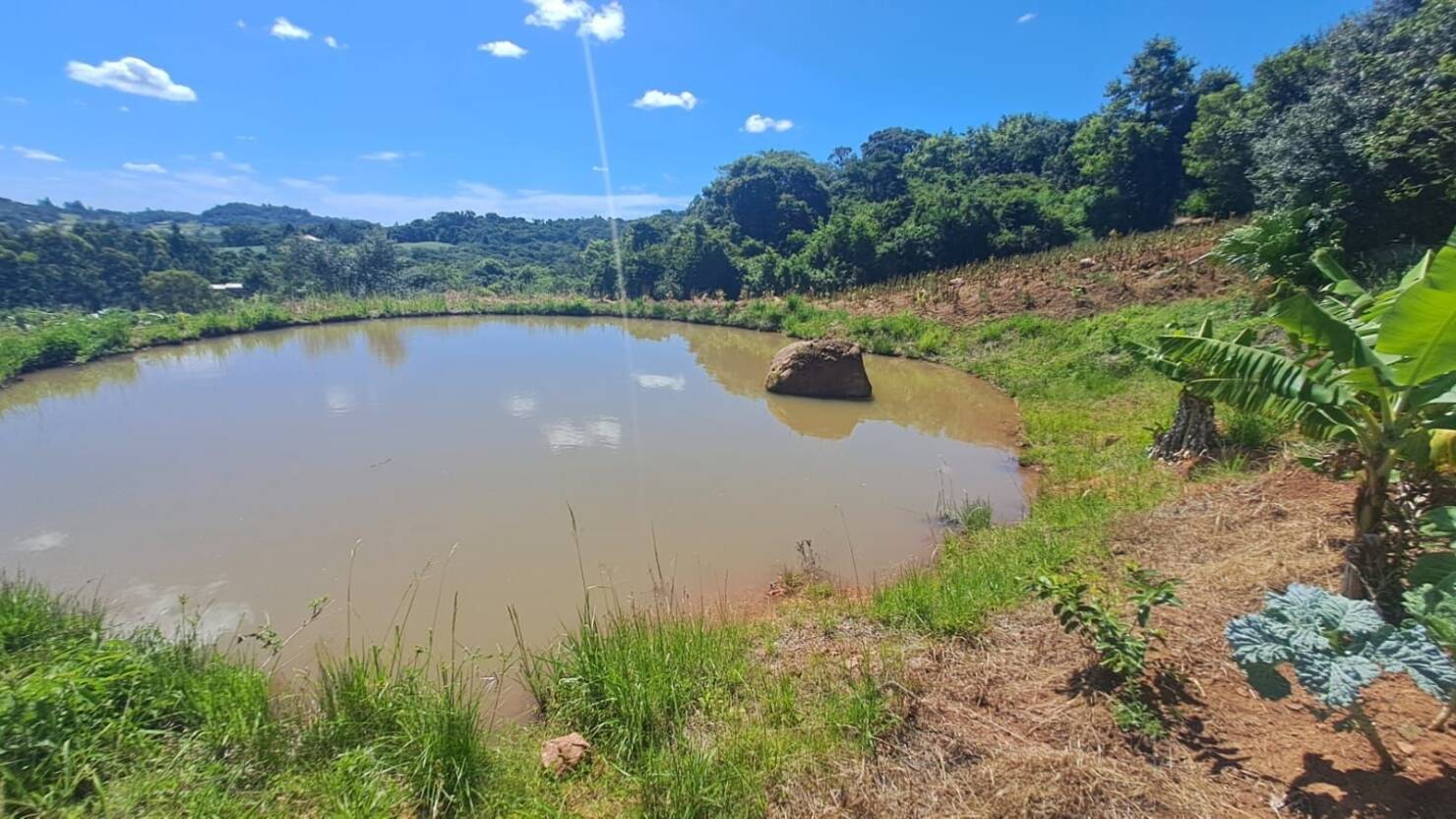 Chácara, 3 quartos, 5 hectares - Foto 42