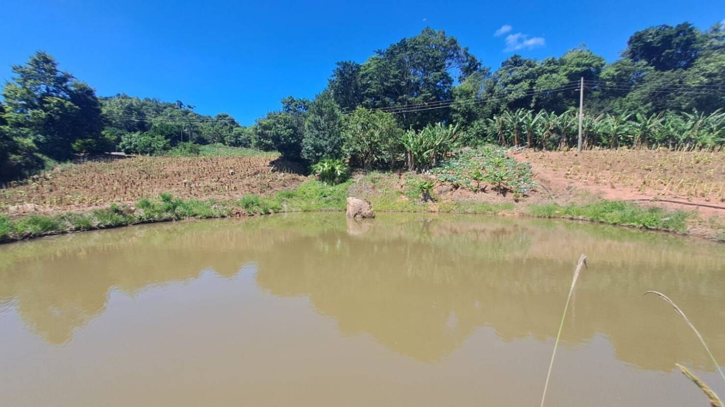 Chácara, 3 quartos, 5 hectares - Foto 43