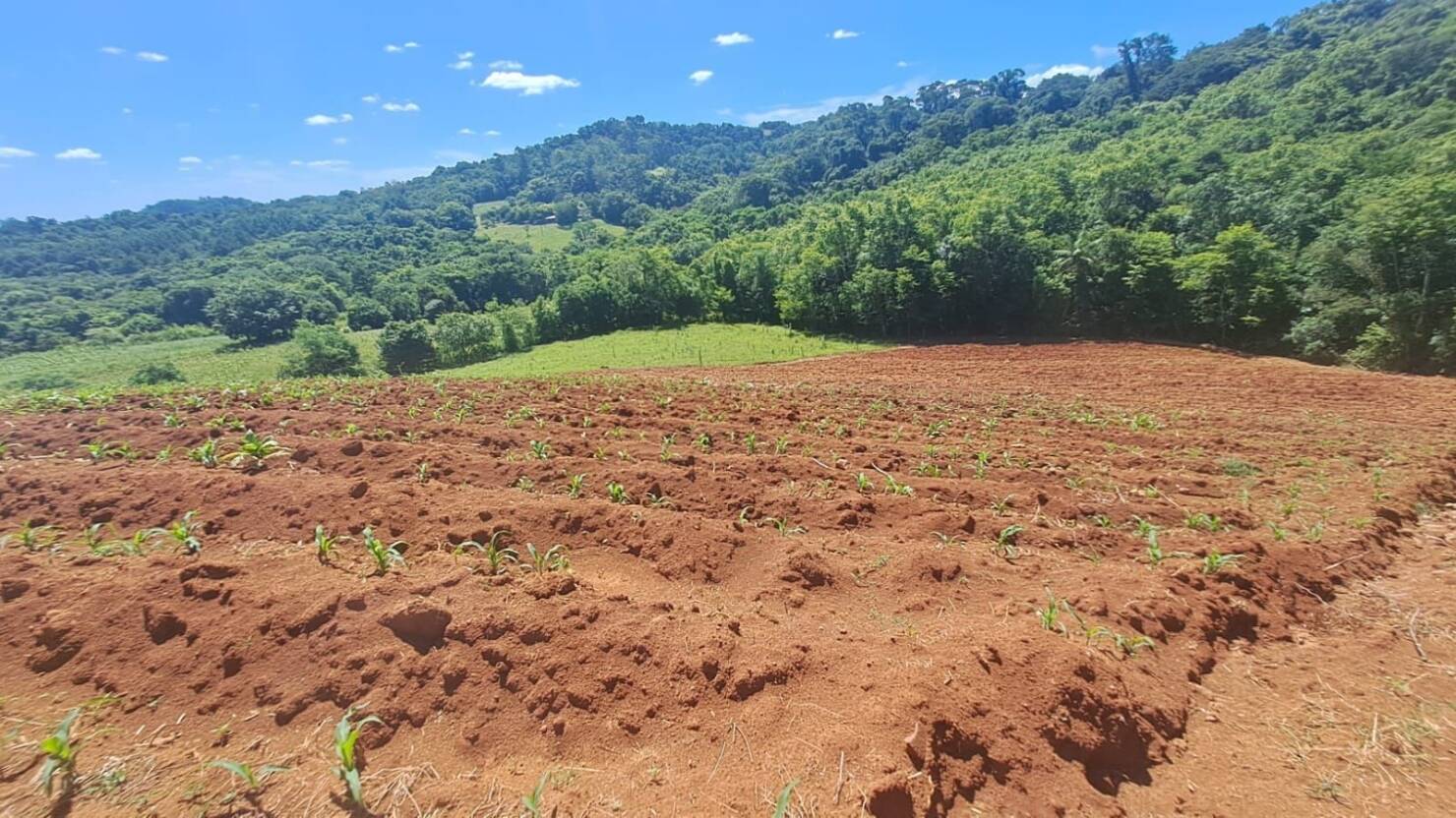 Chácara, 3 quartos, 5 hectares - Foto 44
