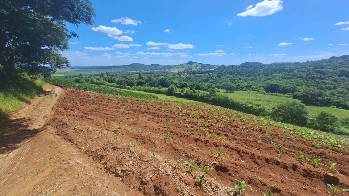Chácara, 3 quartos, 5 hectares - Foto 45